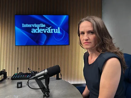 Oana Țoiu discută despre securitatea cibernetică în România.