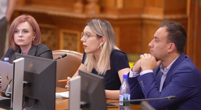 Diana Buzoianu discutând în comisiile parlamentare despre mediul înconjurător.