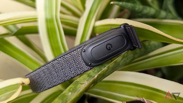 Dispozitiv Fitbit Edge cu design modern, pe fundal de plante verzi.