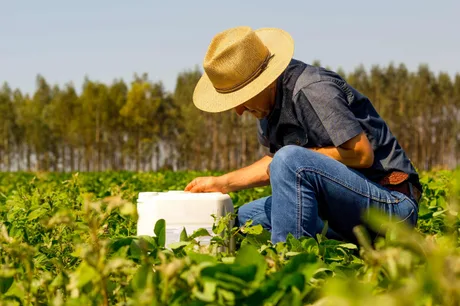 Fermier lucrând în câmp, concentrat pe îngrijirea plantelor.