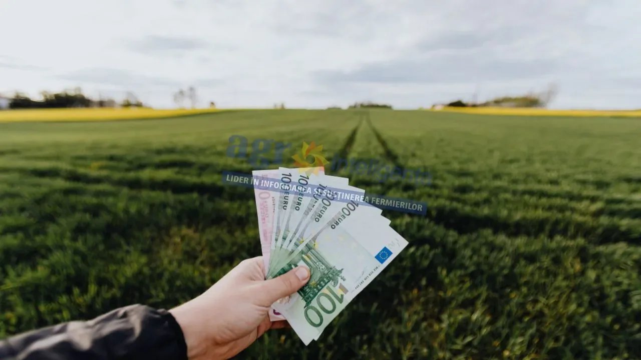 Bancnote de euro în mână, pe câmp verde.