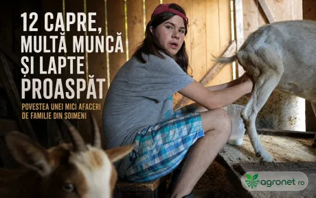 Familia Stanciu oferă lapte proaspăt și lactate din capre în Cluj-Napoca.