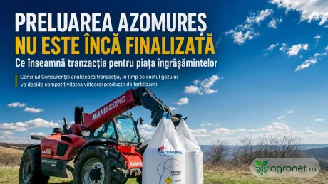 Tranzacția Romgaz-Azomureș rămâne în așteptare, fără termene clare.