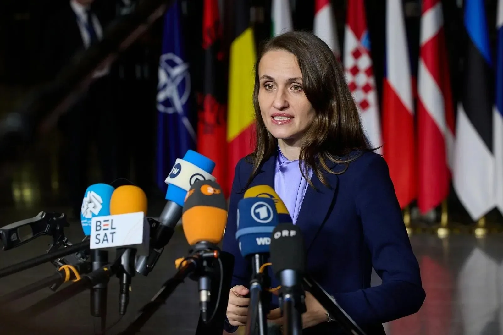 Oana Țoiu vorbește la o conferință de presă, în fața steagurilor.