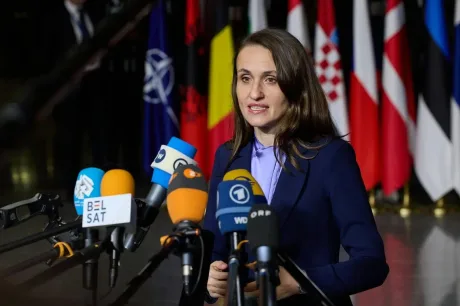 Oana Țoiu vorbește la o conferință de presă, în fața steagurilor.