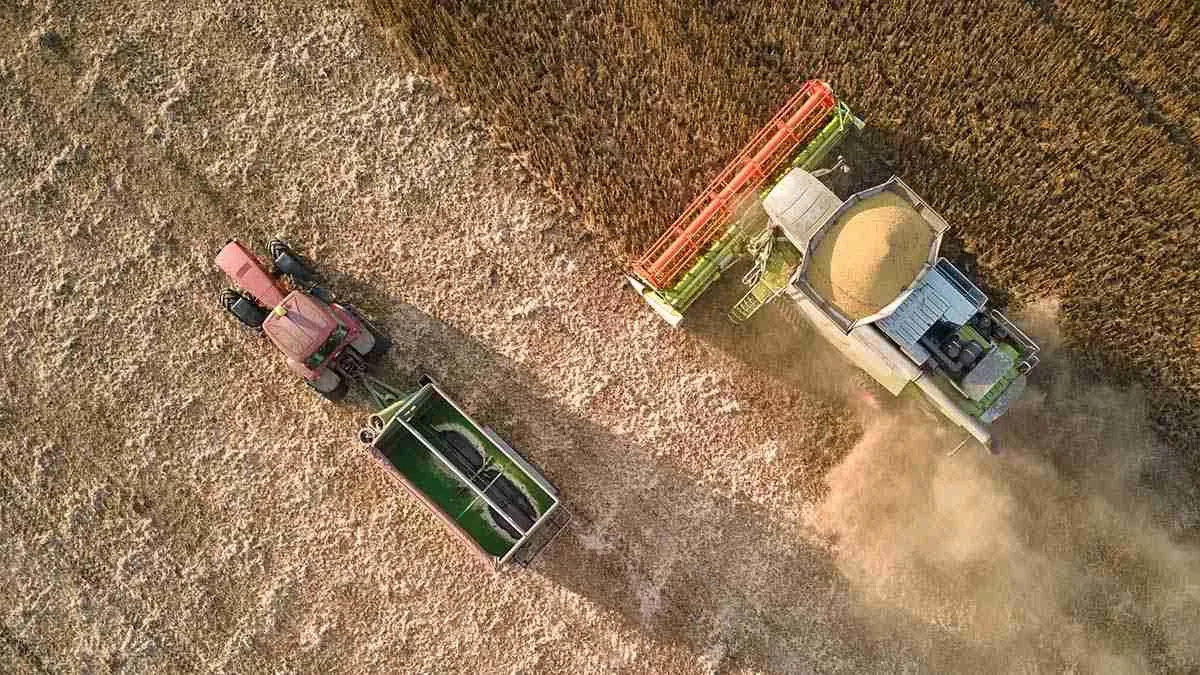 Tractor și combină recoltat cereale pe câmpuri în România.