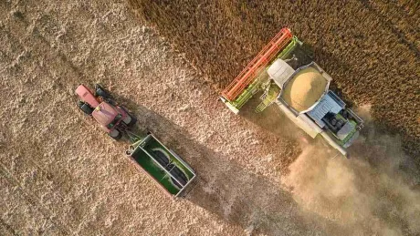 Tractor și combină recoltat cereale pe câmpuri în România.