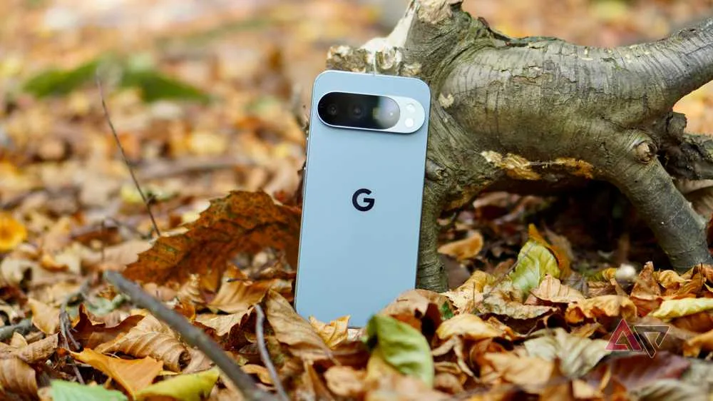 Un telefon Google pe un fundal de frunze uscate în pădure.