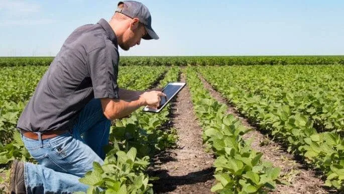 Cercetător analizând date în câmp, contribuind la soluții agricole inovatoare.