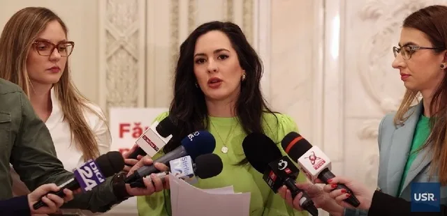 Diana Stoica discutând despre cercetarea disciplinară în Parlament.