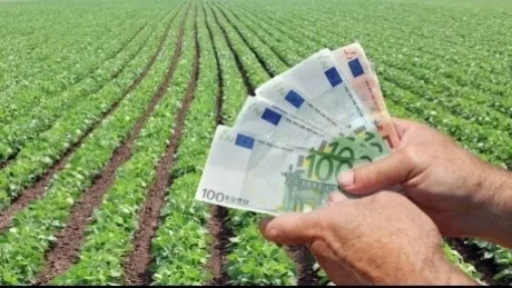 Fermier cu bancnote în mână, pe câmp de oleaginoase.