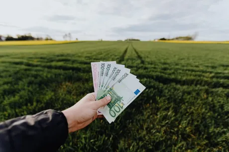 Bancnote euro pe fundalul unui câmp verde de cereale.