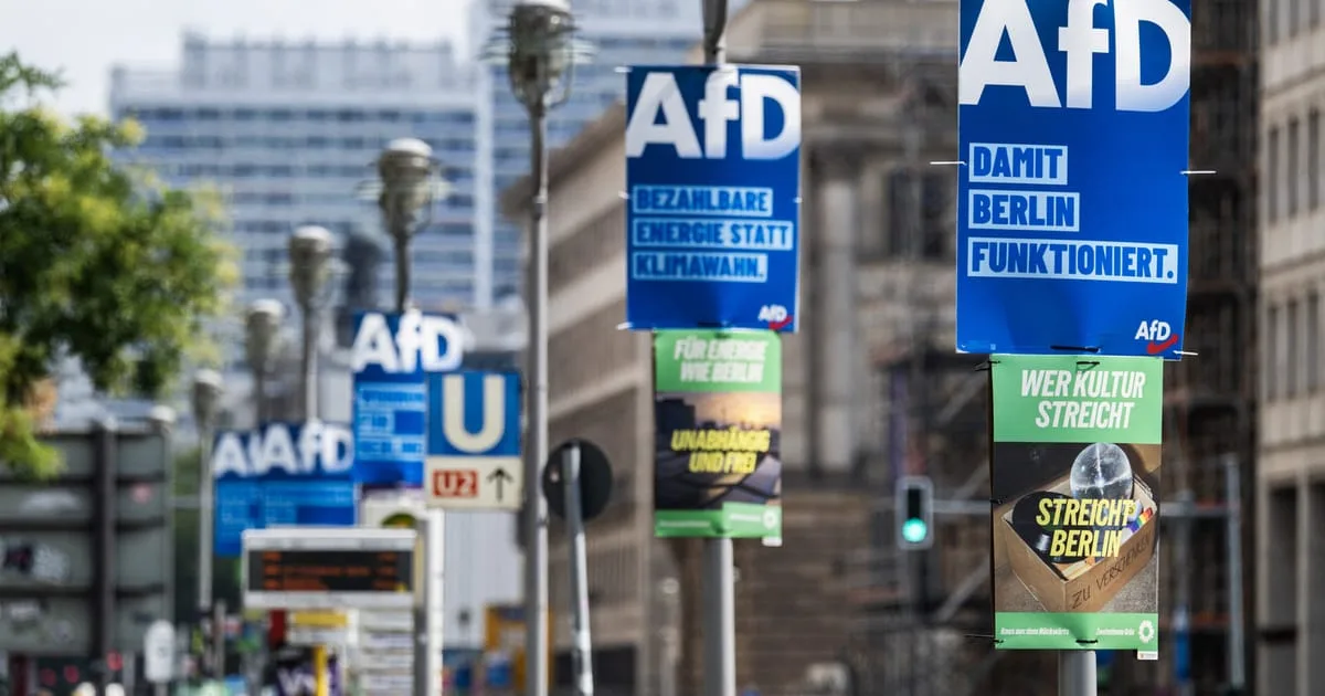 Panouri electorale AfD pe străzile din Germania, promovând mesajele partidului.