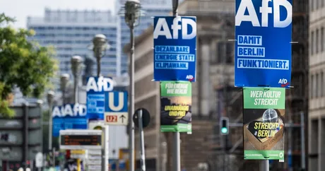 Panouri electorale AfD pe străzile din Germania, promovând mesajele partidului.