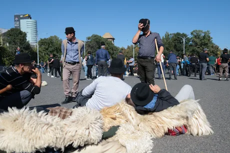 Crescătorii de ovine protestează pentru deblocarea exporturilor și despăgubiri rapide.