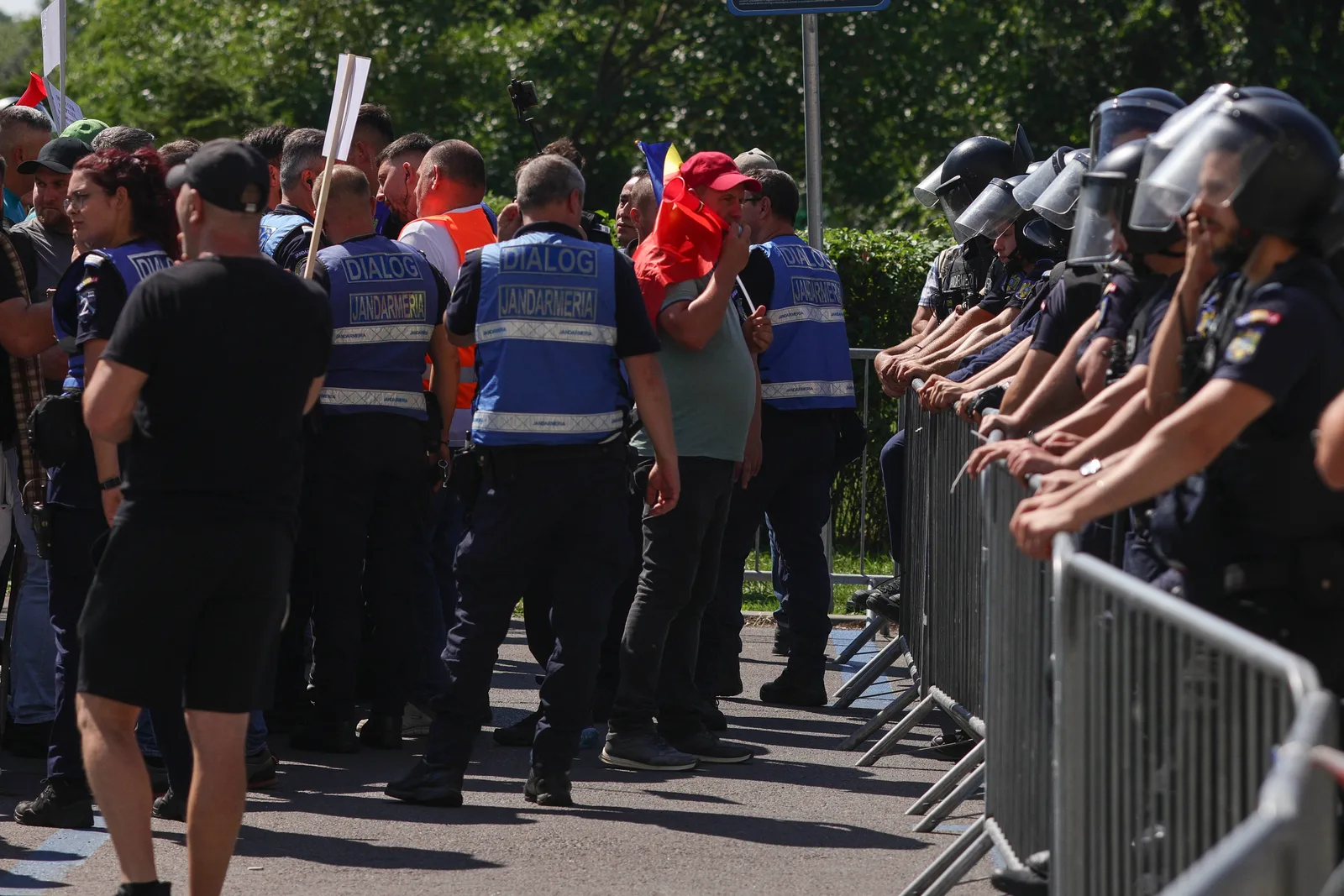 Protest al crescătorilor de ovine cu jandarmi și incidente în fundal.