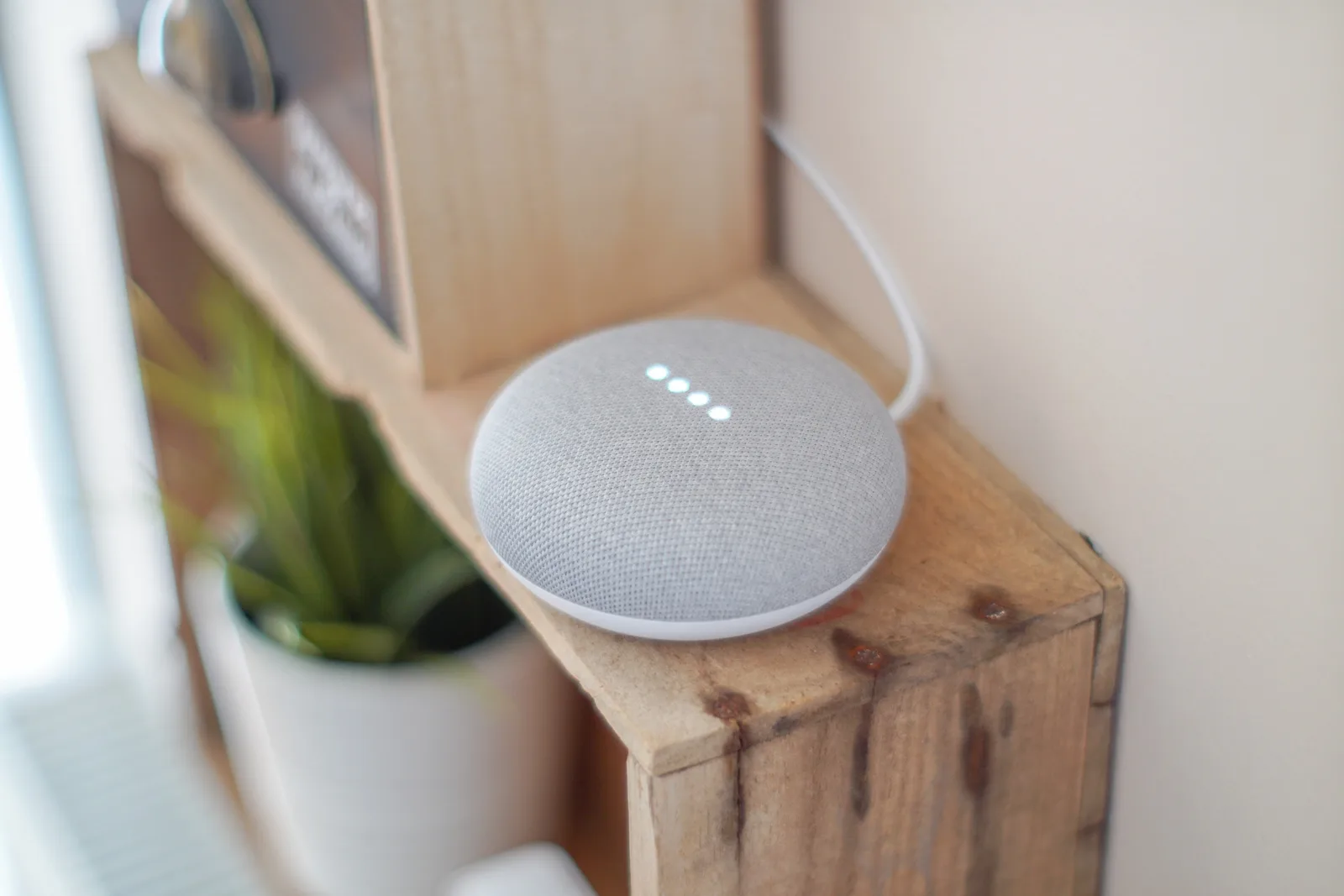 Dispozitiv smart Google pe un raft din lemn, alături de plante decorative.