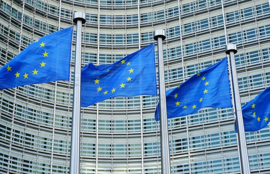 Steagurile Uniunii Europene fluturând în fața clădirii instituției.