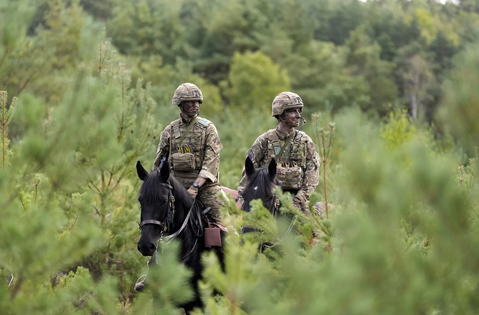 Soldați britanici călare în pădure, testând mobilitatea tactică a cailor.
