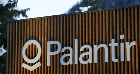 Logo-ul Palantir pe un fundal natural, simbolizând tehnologia și securitatea.
