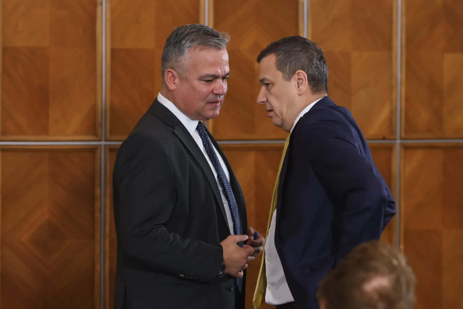 Discuții între liderii PSD despre amânarea votului de învestire a Guvernului Veștea.