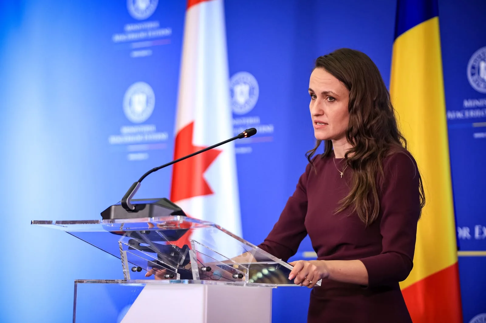 Oana Țoiu discută despre securitatea României și sancțiunile împotriva Rusiei.