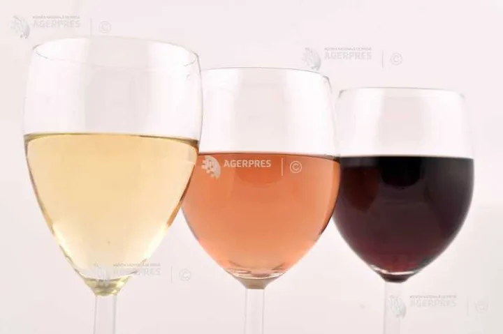 Trei pahare cu vin de diferite culori pe un fundal neutru.