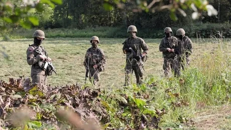Soldați în exercițiu militar, pregătiți pentru cooperare internațională.