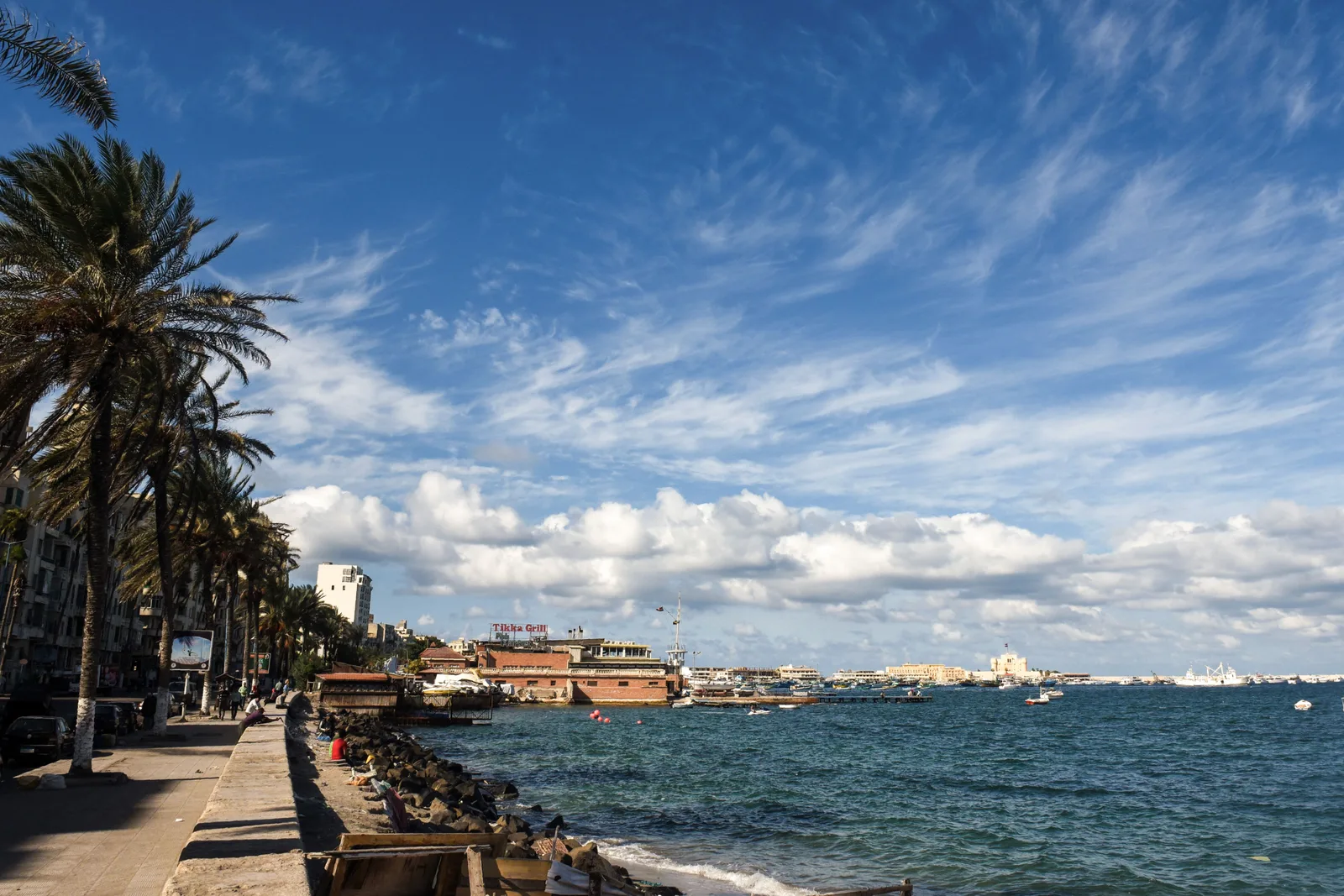 Peisaj de coastă în Alexandria, cu palmieri și nori albi pe cer.