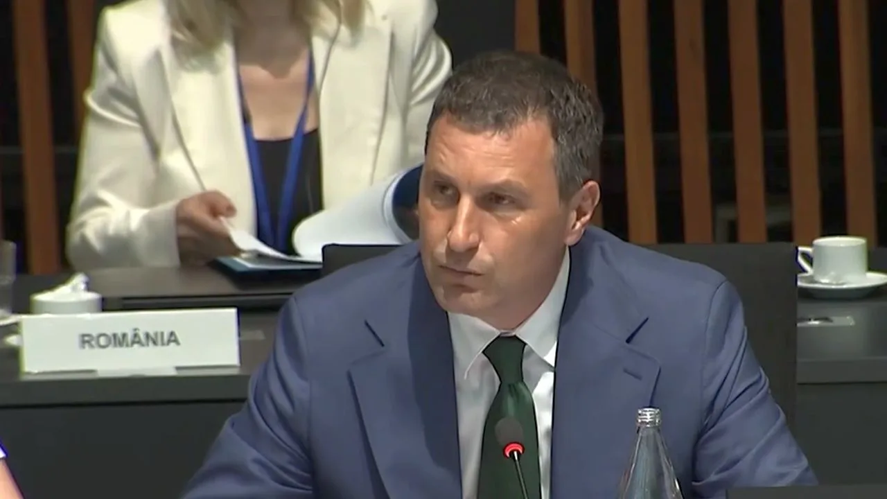 Vicepremierul Tánczos Barna discută despre gestionarea urșilor bruni.