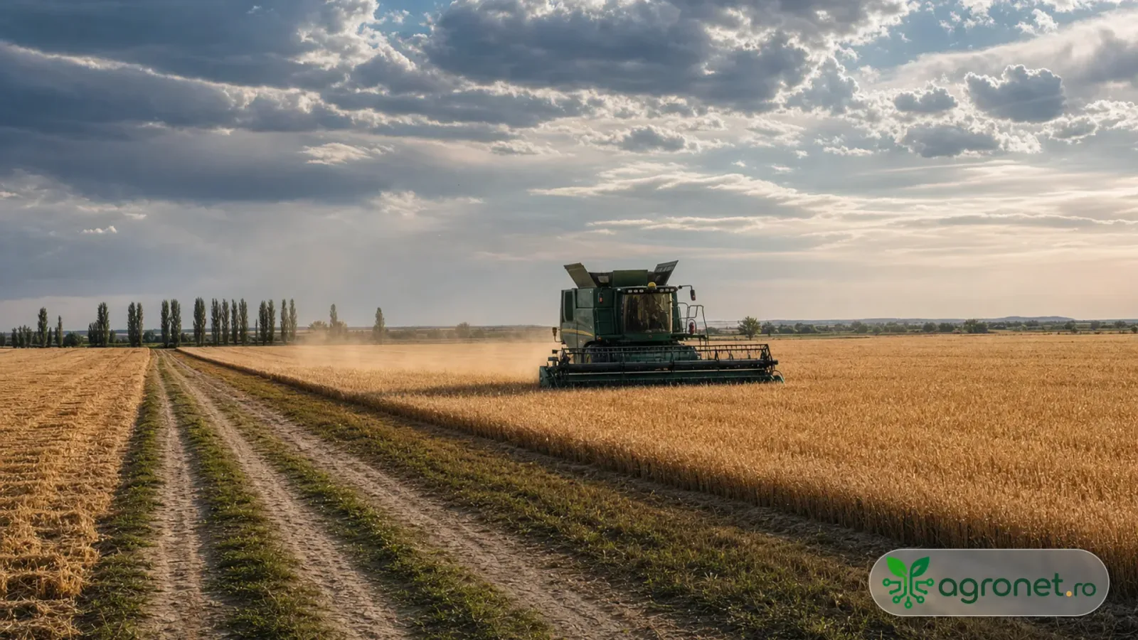Muncă agricolă pe câmp, cu un utilaj care recoltează grâu.