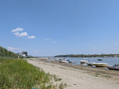Plajă pe malul Dunării, cu bărci ancorate și vegetație verde.