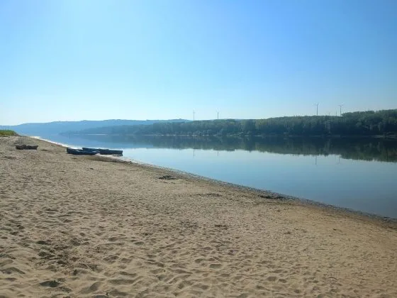 Peisaj liniștit al Dunării, cu apă calmă și vegetație pe mal.