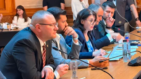Consilierul Monicăi Anisie folosește tehnologia AI în timpul audierii parlamentare.