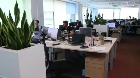 Birou modern cu plante verzi și echipamente IT în Iași