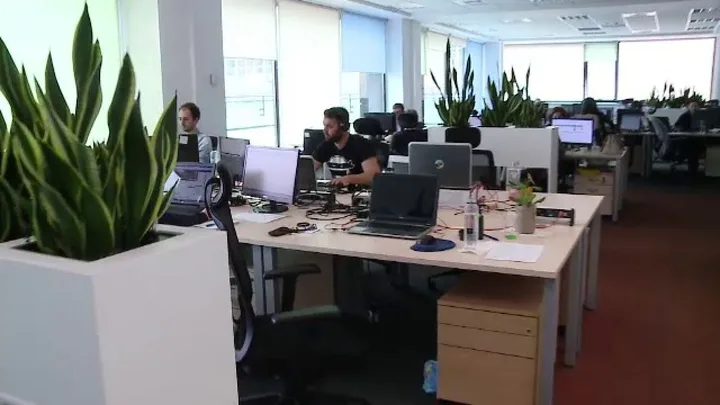 Birou modern cu plante verzi și echipamente IT în Iași