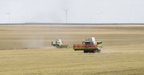 Recoltarea cerealelor în România, în ciuda caniculei din Europa.