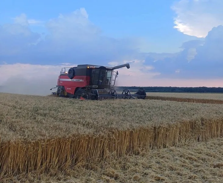 Recoltarea grâului în sudul României, cu un utilaj agricol pe câmp.