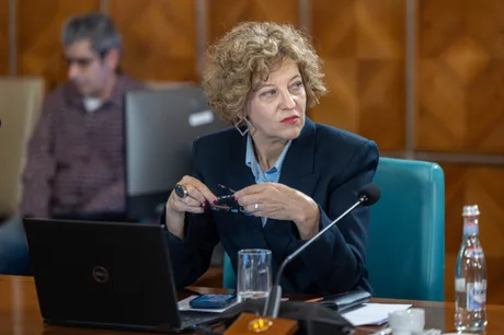 Oana Gheorghiu discutând despre votul pentru noul guvern în Parlament.