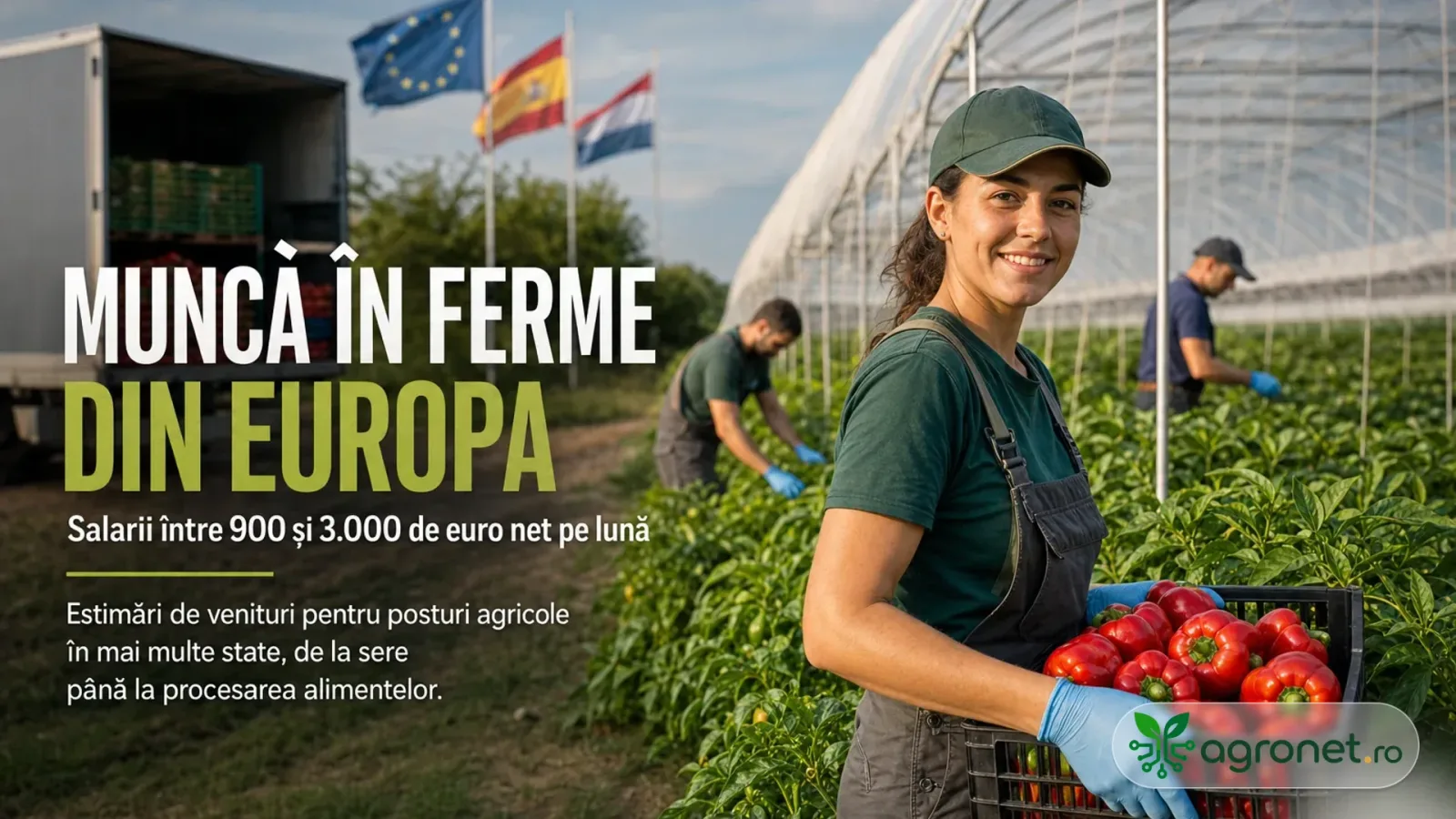 Oferte de muncă în ferme europene cu salarii variate și condiții de muncă.