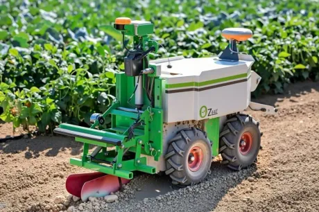 Robot agricol autonom lucrând într-un câmp de legume, eficiență în agricultură.