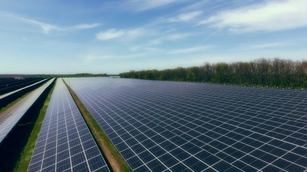Panouri solare instalate pe câmp, contribuind la reducerea costurilor energetice.