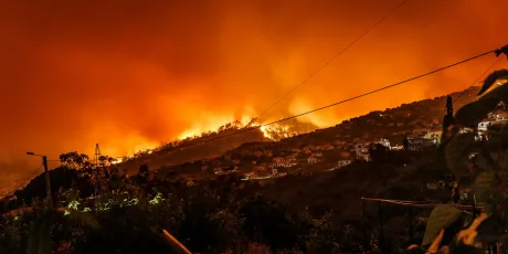 Incendii de vegetație cu fum dens afectând o zonă rezidențială.