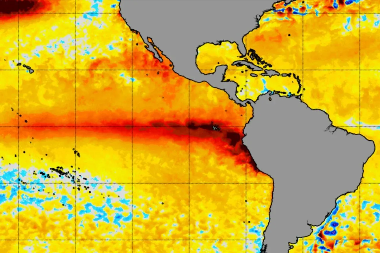 Harta care ilustrează anomaliile de temperatură în Pacificul tropical.
