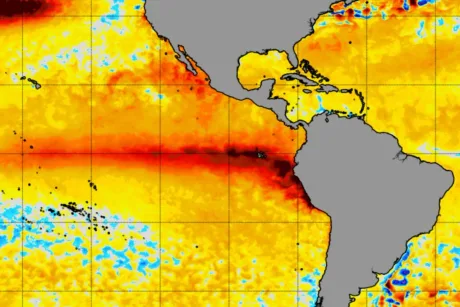 Harta care ilustrează anomaliile de temperatură în Pacificul tropical.