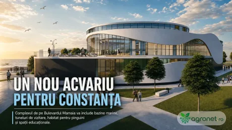 Proiectul unui acvariu modern la Mamaia, cu spații educaționale și bazine marine.