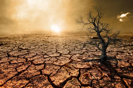 Peisaj arid cu un copac uscat pe un teren crăpat de secetă.