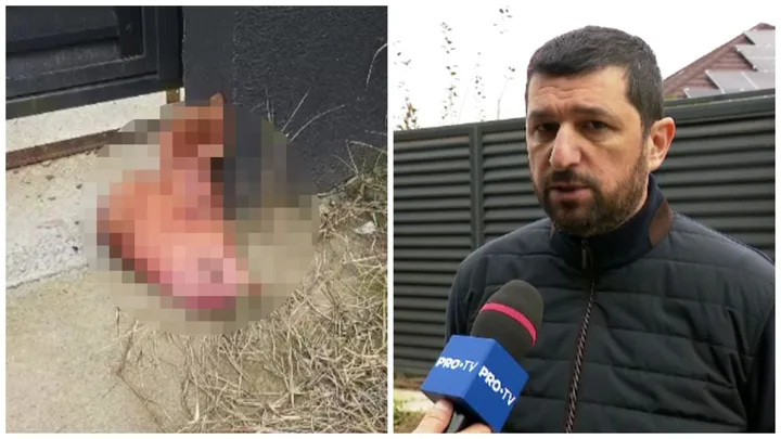 Marius Lulea discutând despre incidentul cu capul de porc găsit la poarta casei.