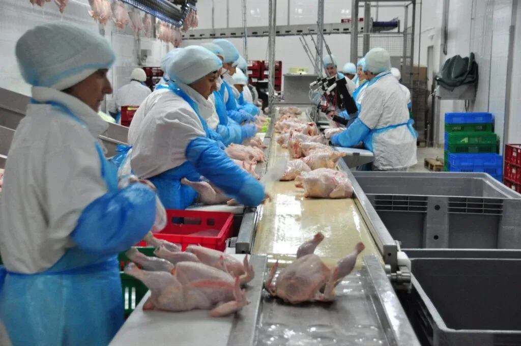 Angajați care procesează carne de pasăre într-o unitate modernă.