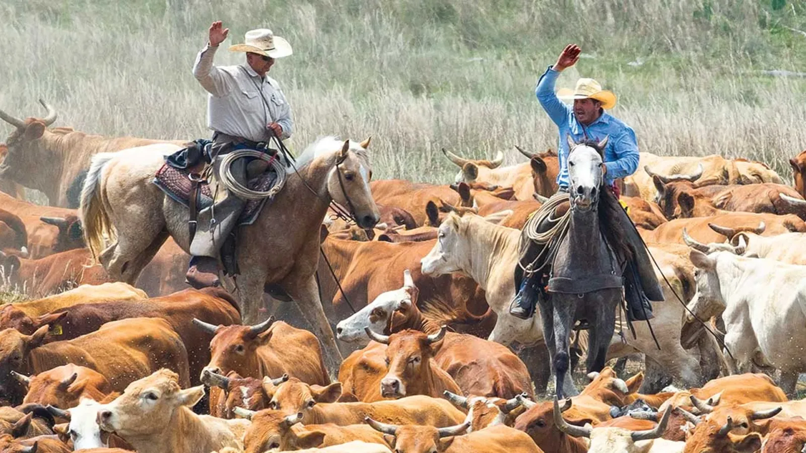 Cavaleri care dirijează vitele într-un peisaj rural vast.